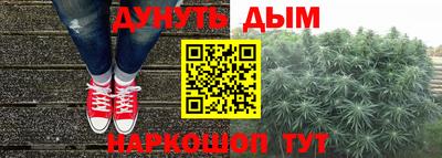 шишки Партизанск