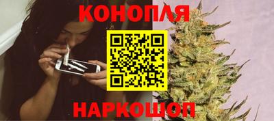 шишки Партизанск