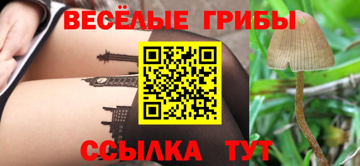 Псилоцибиновые грибы мицелий Славгород